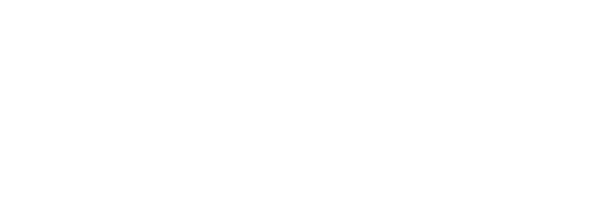 Logo ALM Telecom